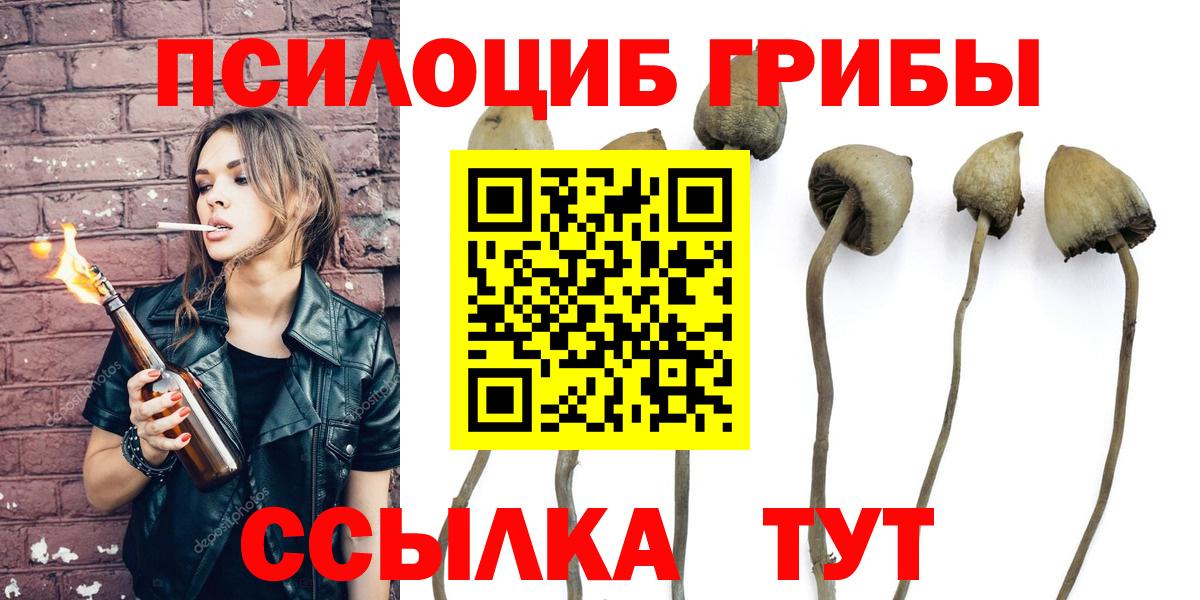 Галлюциногенные грибы Cubensis  Вход с VPN  Псилоцибиновые грибы мухоморы  Мариинск 